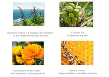 Load image into Gallery viewer, the-saem-urban-eco-harakeke-cream-ex