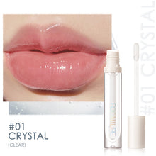 Load image into Gallery viewer, FOCALLURE Plumpmax Lip Gloss
