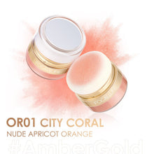 Load image into Gallery viewer, FOCALLURE Instant Retouch Powder Blush