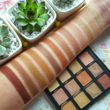 Load image into Gallery viewer, DE'LANCI Shimmer and Matte 12 Color Eyeshadow Palette