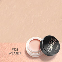 Load image into Gallery viewer, FOCALLURE Full Coverage Cream Concealer Shades