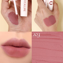 Load image into Gallery viewer, FOCALLURE Velvet Mist Matte Lipclay