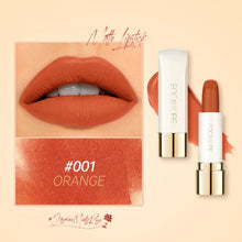 Load image into Gallery viewer, FOCALLURE Jasmin Meets Rose Pure Matte Lipstick