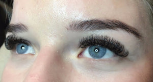 Lash Beauty Premium Eyelash Extensions